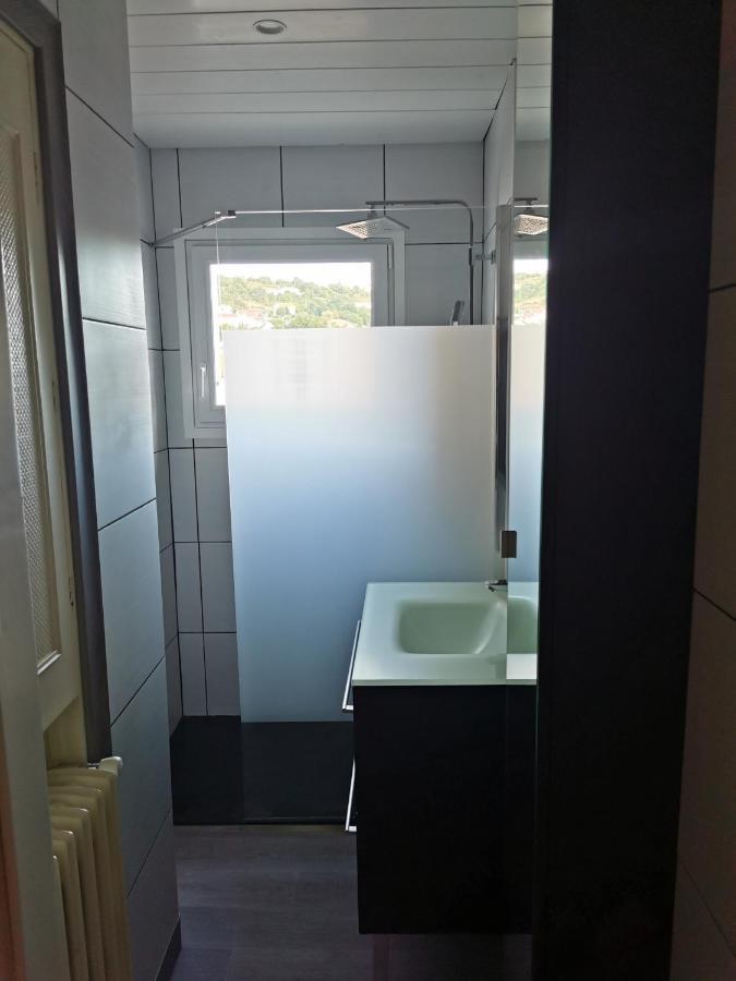 Le Puy-en-Velay Velay Cocon Appartement 4 Chambres Avec Vue Sur Les Monuments מראה חיצוני תמונה