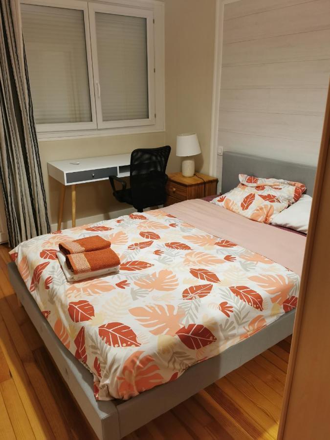 Le Puy-en-Velay Velay Cocon Appartement 4 Chambres Avec Vue Sur Les Monuments מראה חיצוני תמונה